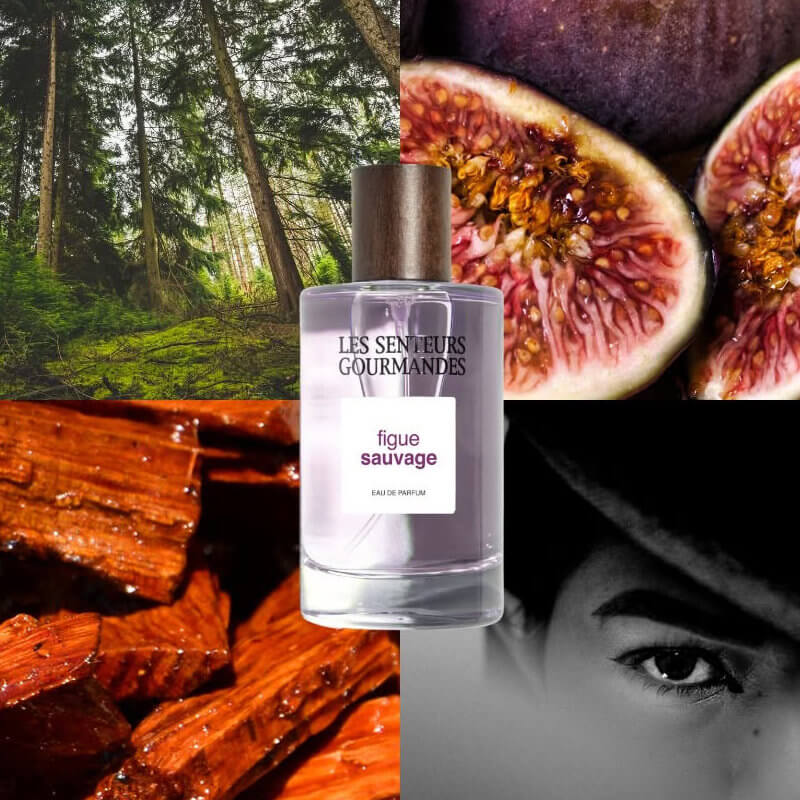 Les Senteurs Gourmandes Figue Sauvage 4 Les Senteurs Gourmandes Figue Sauvage Collage