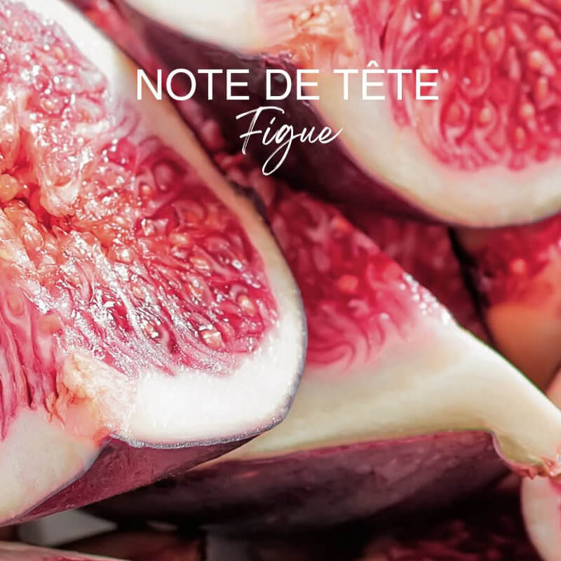 Les Senteurs Gourmandes Figue Sauvage